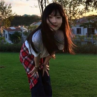 一条狗的回家路